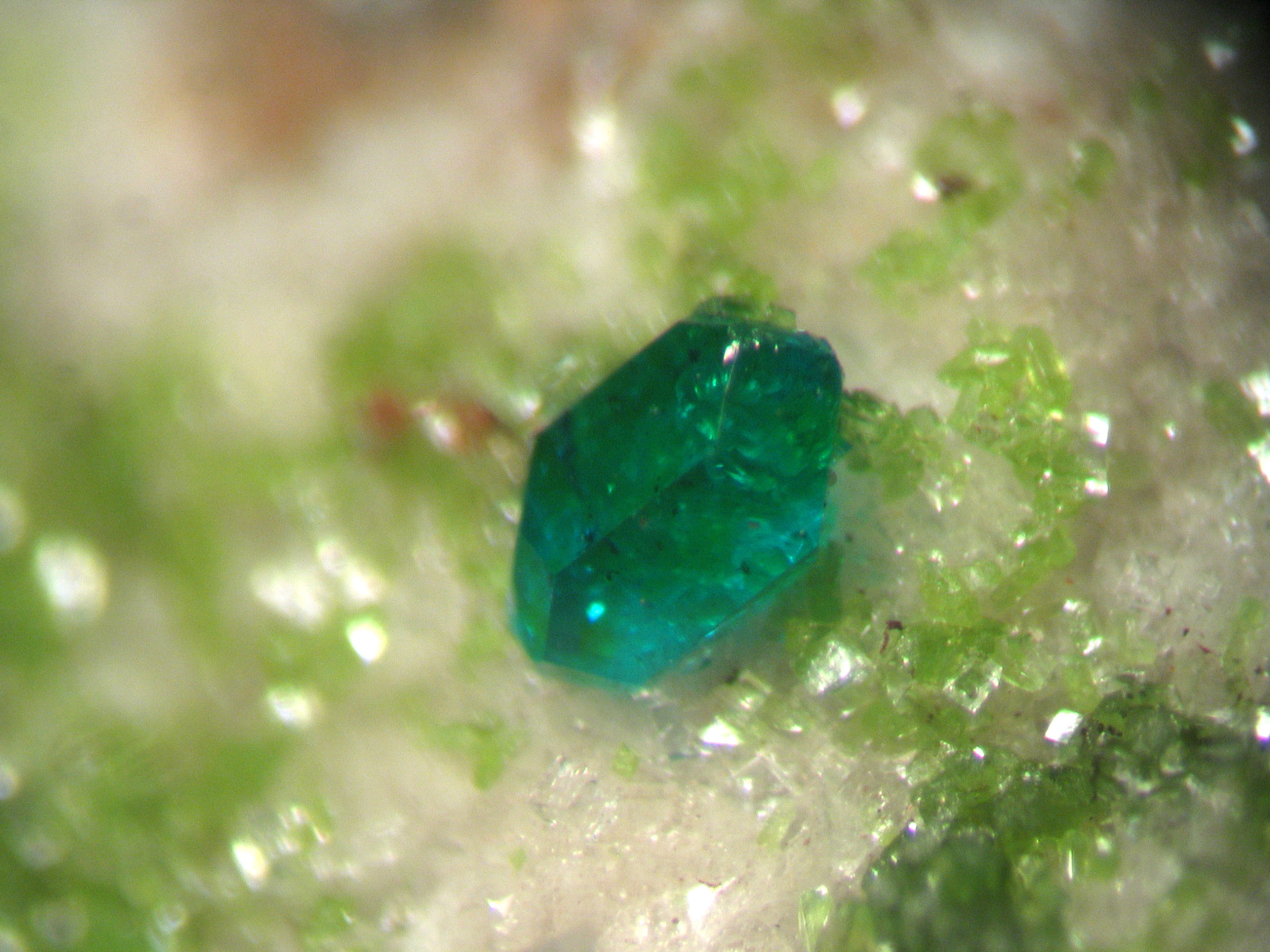 Réunion « Micro »