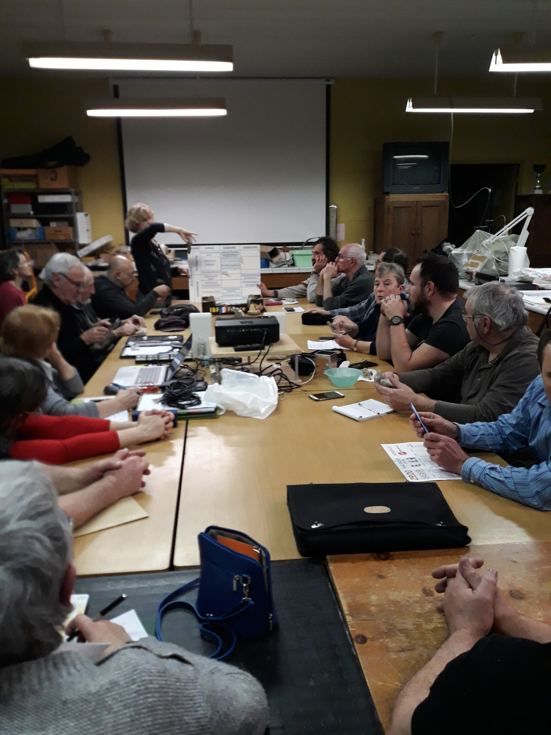 Réunion mensuelle des adhérents