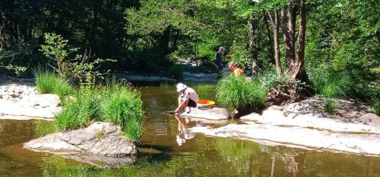 Orpaillage dans le Gard Orpaillage dans le Gard