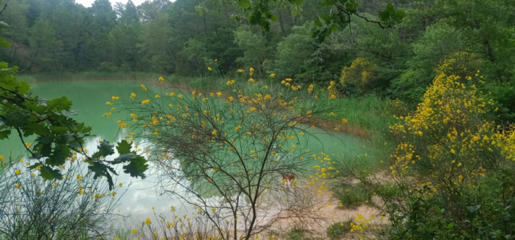 Le massif d’Uchaux à Bollène: la carte interactive Le massif d’Uchaux à Bollène: la carte interactive