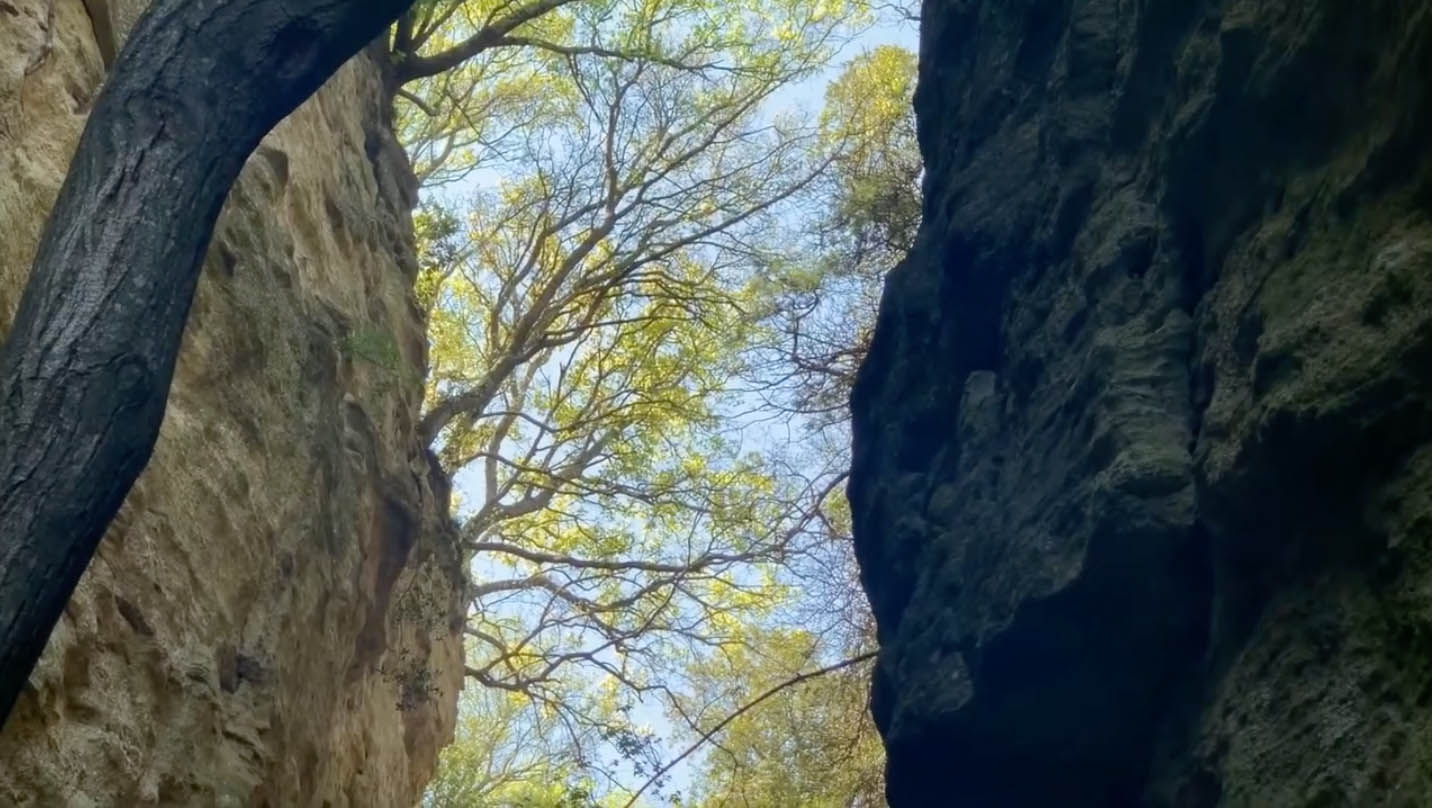 Sortie découverte « Plateau du Rouvergue »