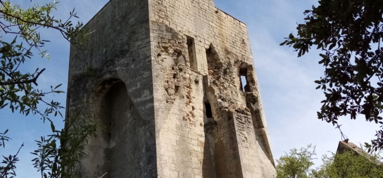 Sortie sur le Plateau du Rouvergue le 9 mai 2026
